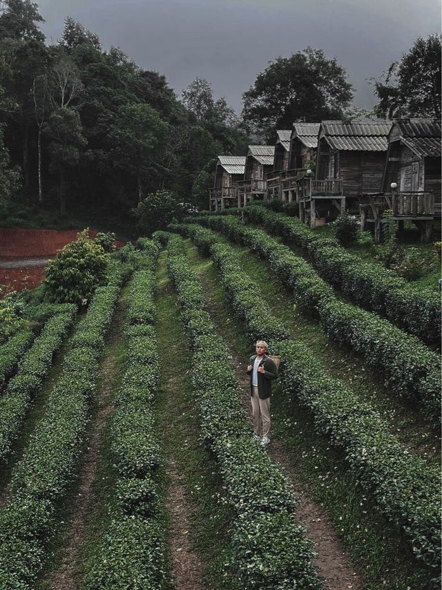 ใจไม่ถึงจอดรถไว้ด้านล่าง!