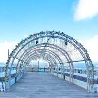 Leisure walk along the amazing Victoria harbour front