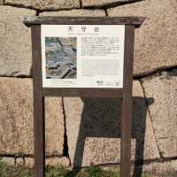 Experience Traditional Culture in Tokyo