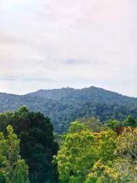 The Habitat Penang Hill