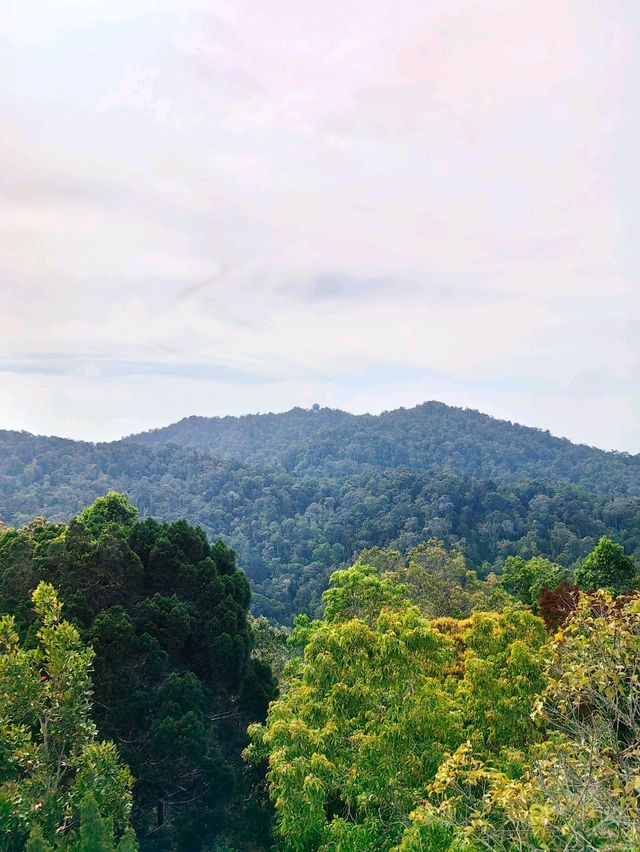 The Habitat Penang Hill