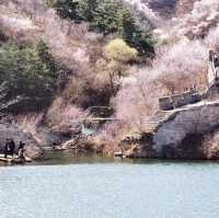 北京黃花城水長城花海