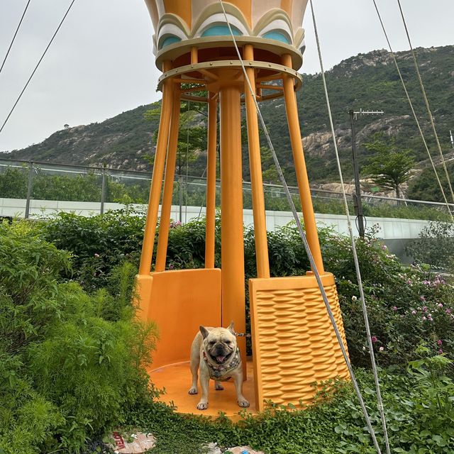 珠海小橫琴山｜多彩步道