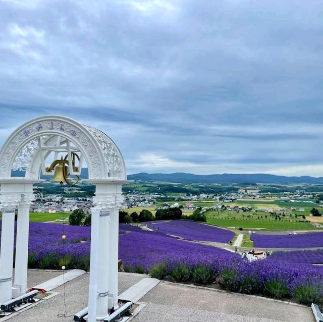 在日之出公園露營