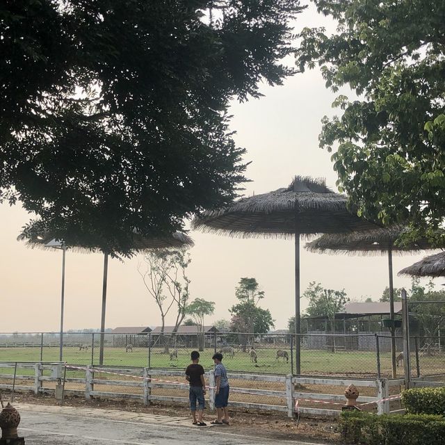 สนามบินสุโขทัย ที่ให้มากกว่าแค่บิน