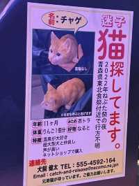 東京【新宿】2023年４月１４日開業！歌舞伎町タワー