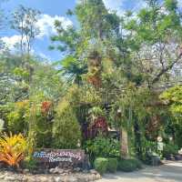 สวนนายดำ จ.ชุมพร (Suan Nai Dum)