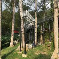 A Stunning 2 acres cafe in Balik Pulau!