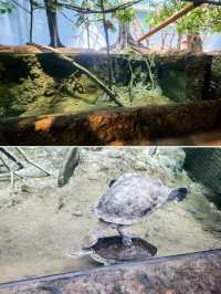 【桃園】X-PARK 水族館：沉浸式體驗海洋世界