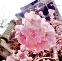 興正寺