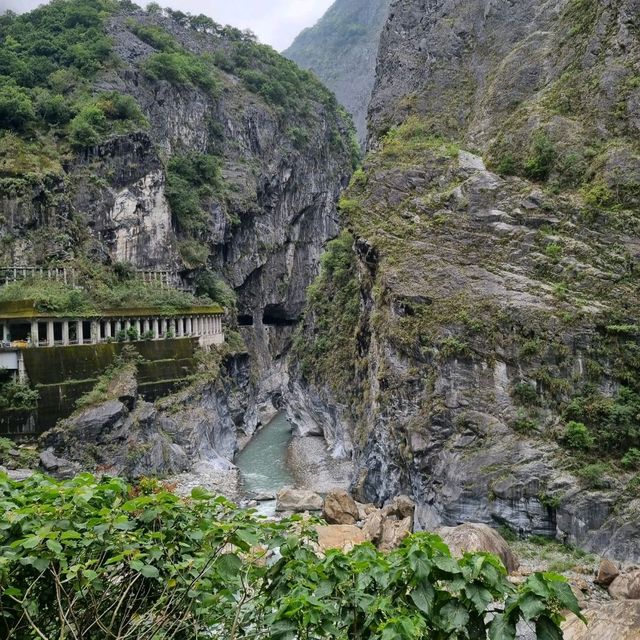 trying to spot swallows in Taroko Gorge 