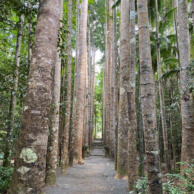 【Paronella park】ホゼの夢の結晶