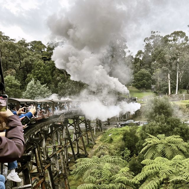 🚂 Choo Choo! All Aboard the Puffing Billy Steam Train! 🌫️