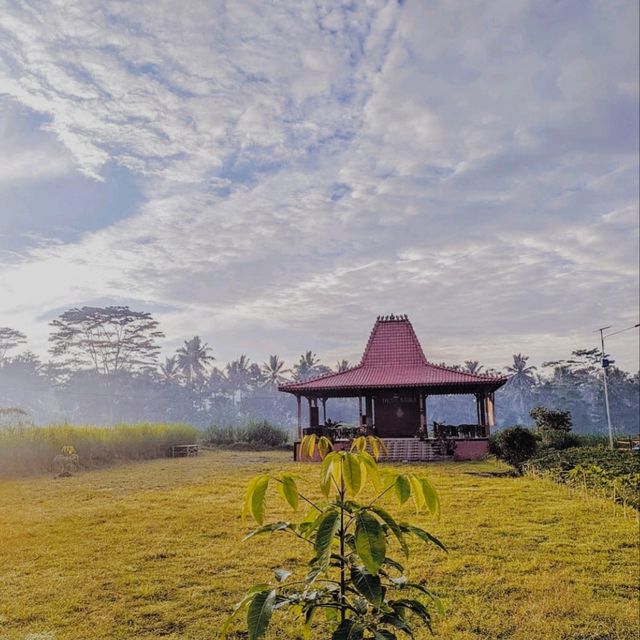 Mranggen Village, Central Java