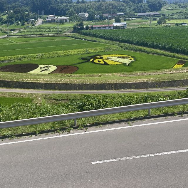 田んぼアート