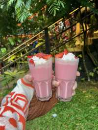 CAFE IN THE MIDDLE OF THE JUNGLE⁉️😰🌿🐾🇮🇩