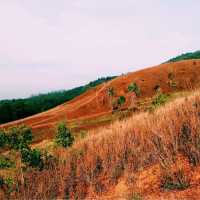 ภูเขาหญ้า