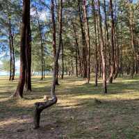 อุทยานแห่งชาติแหลมสน ประทับใจธรรมชาติ