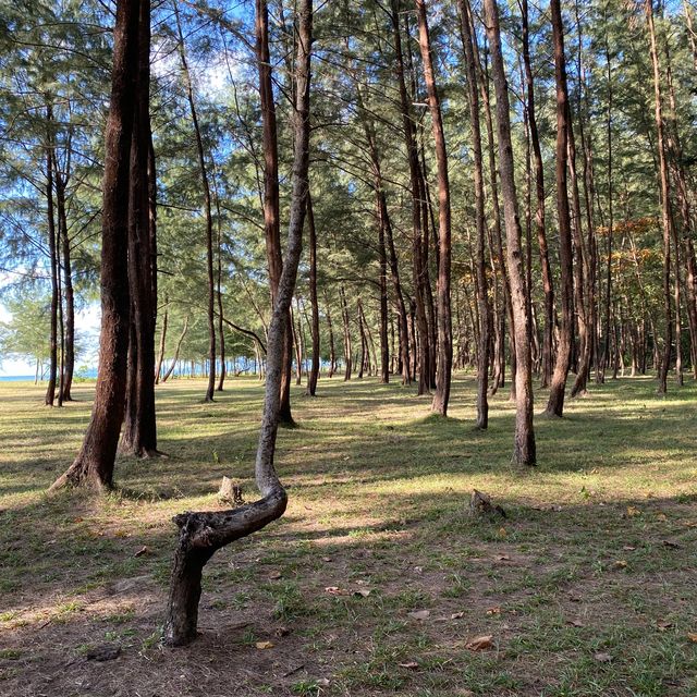 อุทยานแห่งชาติแหลมสน ประทับใจธรรมชาติ