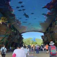 🌊🐠 海底奇幻之旅：珠海長隆海洋王國的無限樂趣 🐬