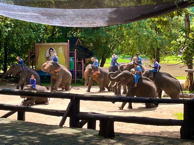 ชมน้องช้าง ที่ศูนย์อนุรักษ์ช้างไทย ลำปาง