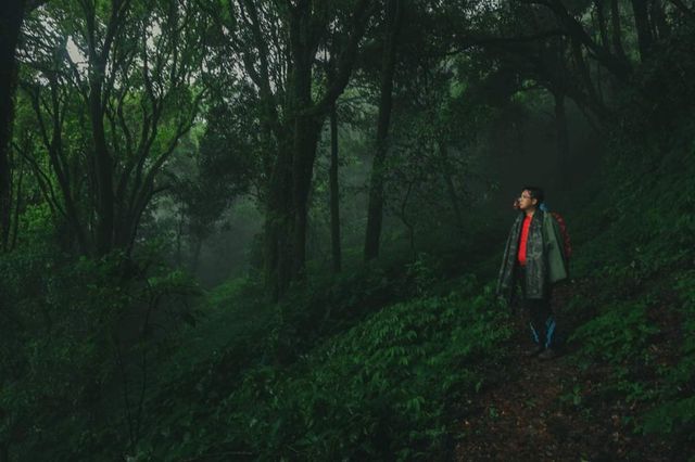 Mount LoiMi Trek: A Journey through Shan State