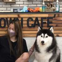 Dog Town Cafe