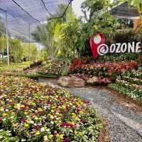 OZONE Farm-Cafe Udon Thani
