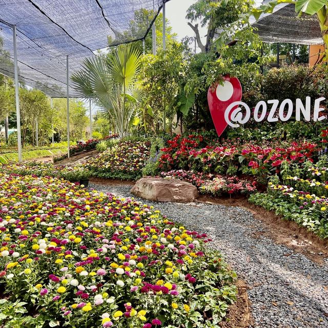 OZONE Farm-Cafe Udon Thani