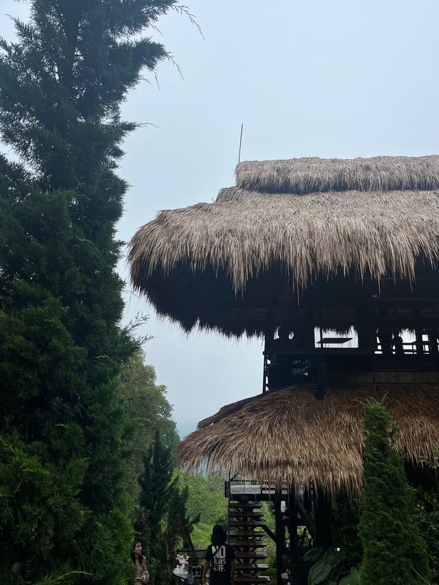 คาเฟ่…บนดอย สวนคุณปู่ Life Museum