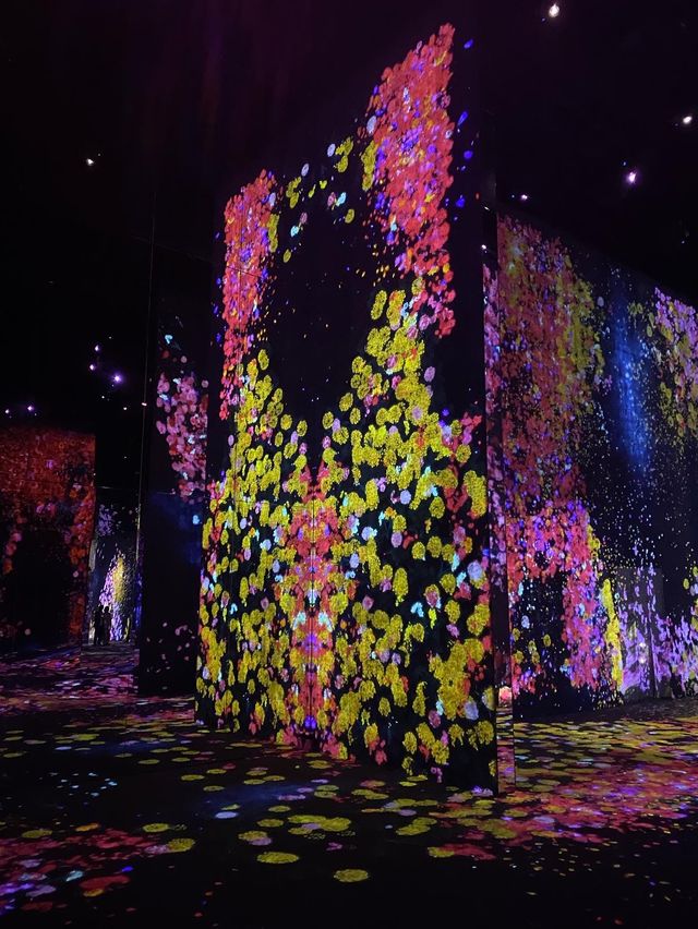 Teamlab Super nature Macau 🌈🎨