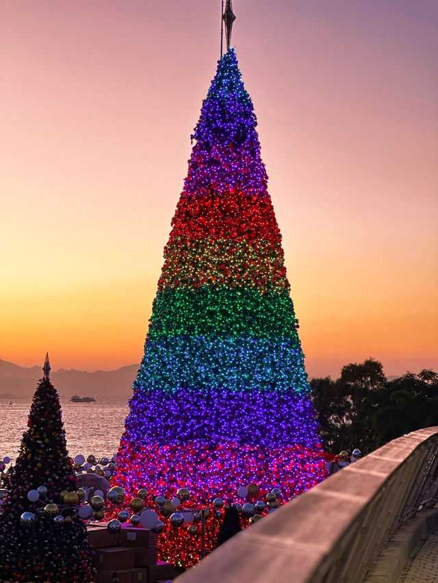 香港｜西九龍的海邊聖誕樹🎄與日落有點搭