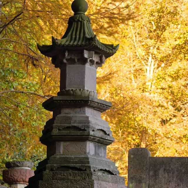 靈隱寺 🏯🙏石雕靈性🗿🌸