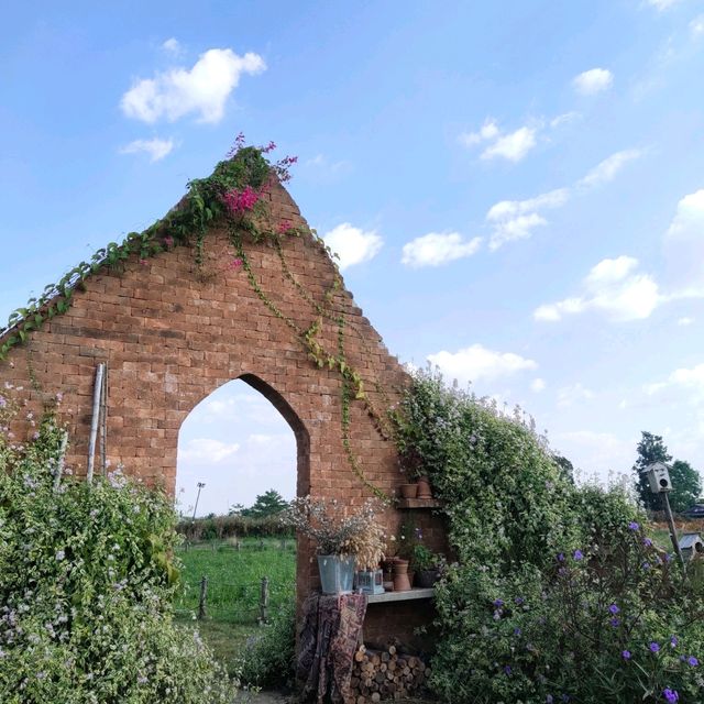 สวนดอกไม้เชียงใหม่ I Love Flower Farm