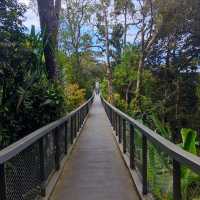 Penang Rainforest Discovery Centre