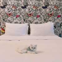Pet Friendly at SO Sofitel Hua Hin