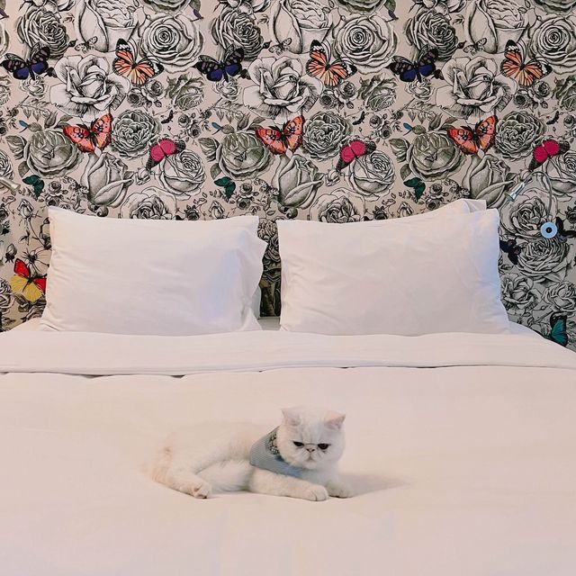 Pet Friendly at SO Sofitel Hua Hin