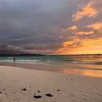 Paradise like nothing else