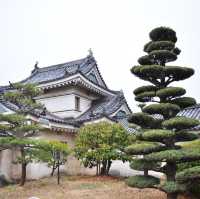 和歌山城 🏰 