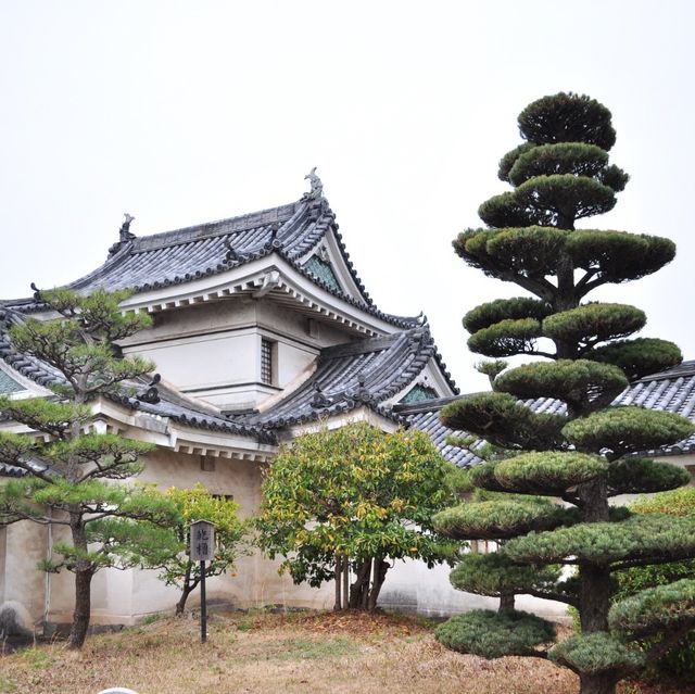 和歌山城 🏰 