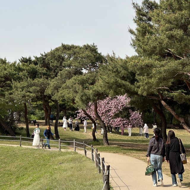 멋진 사진을 위한 서울 관광지 🌳 올림픽공원