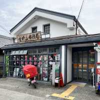【奈良】桜の名所吉野山