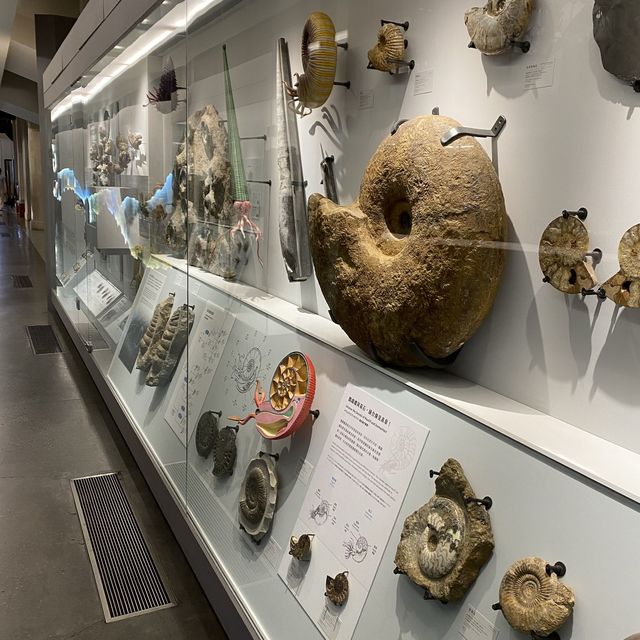 Taiwan National Museum blast from the past