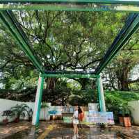 Kowloon Park HK