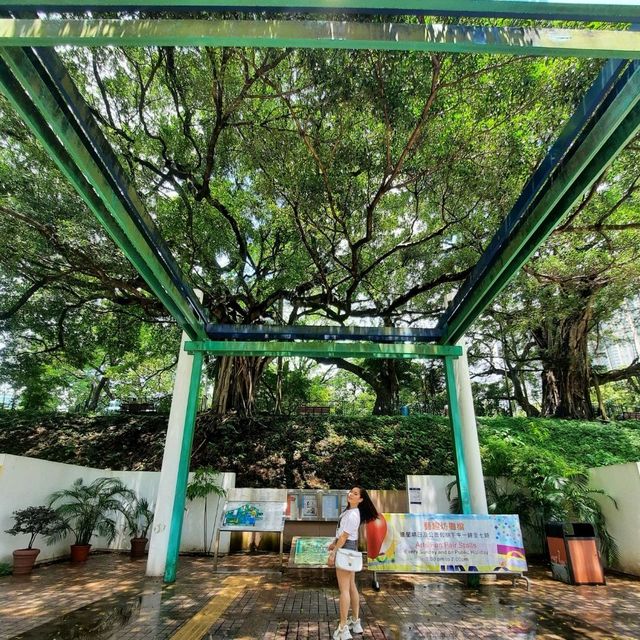 Kowloon Park HK