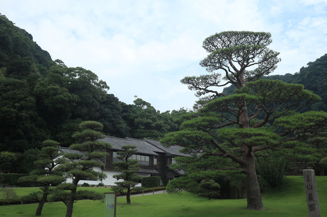 大玩南九州鹿兒島