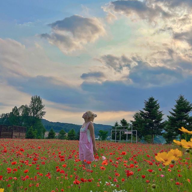 봄꽃놀이 요기 가면 다 있어요😘💓