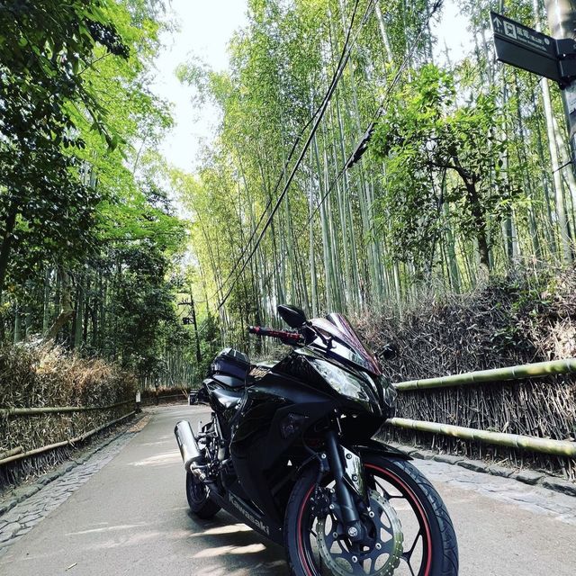 竹林の小径