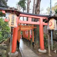 Cherry blossom viewing Park