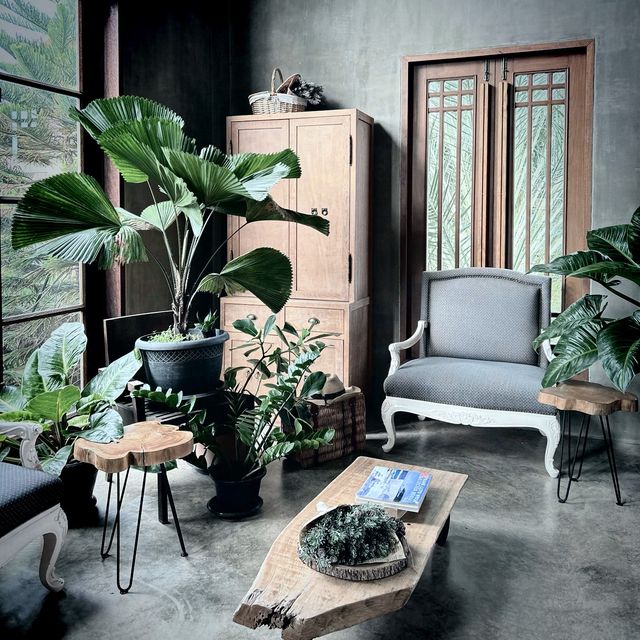 โรงนาคาเฟ่ 🌲🏡 สัมผัสธรรมชาติโอบกอด
